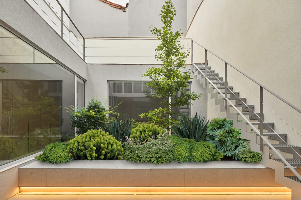 vira-arquitectura-vivienda-entre-medianeras-javier-bravo-18